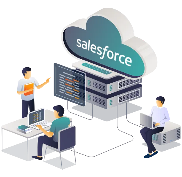 Salesforce CRM Consultation