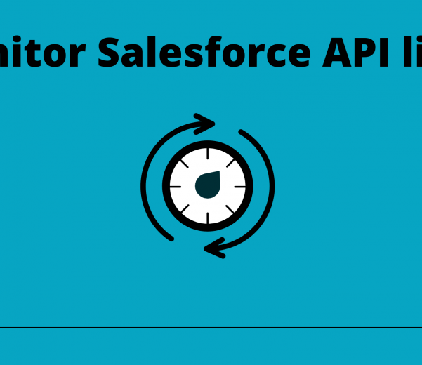 monitor salesforce api limit