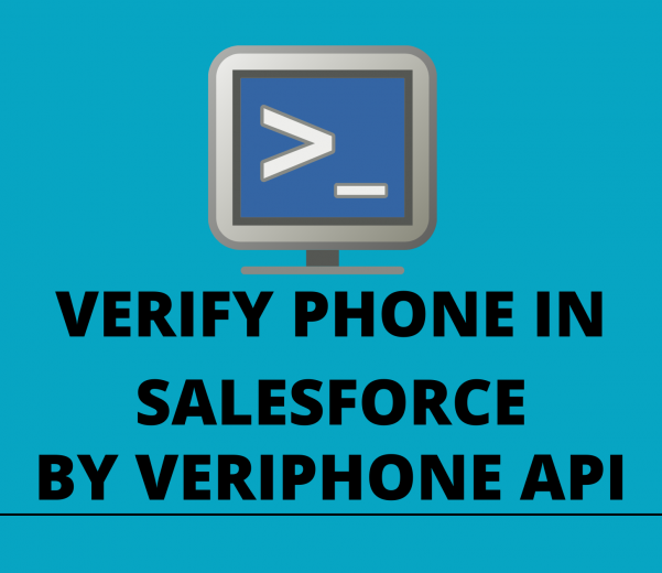 Verify phone in salesforce using Veriphone API