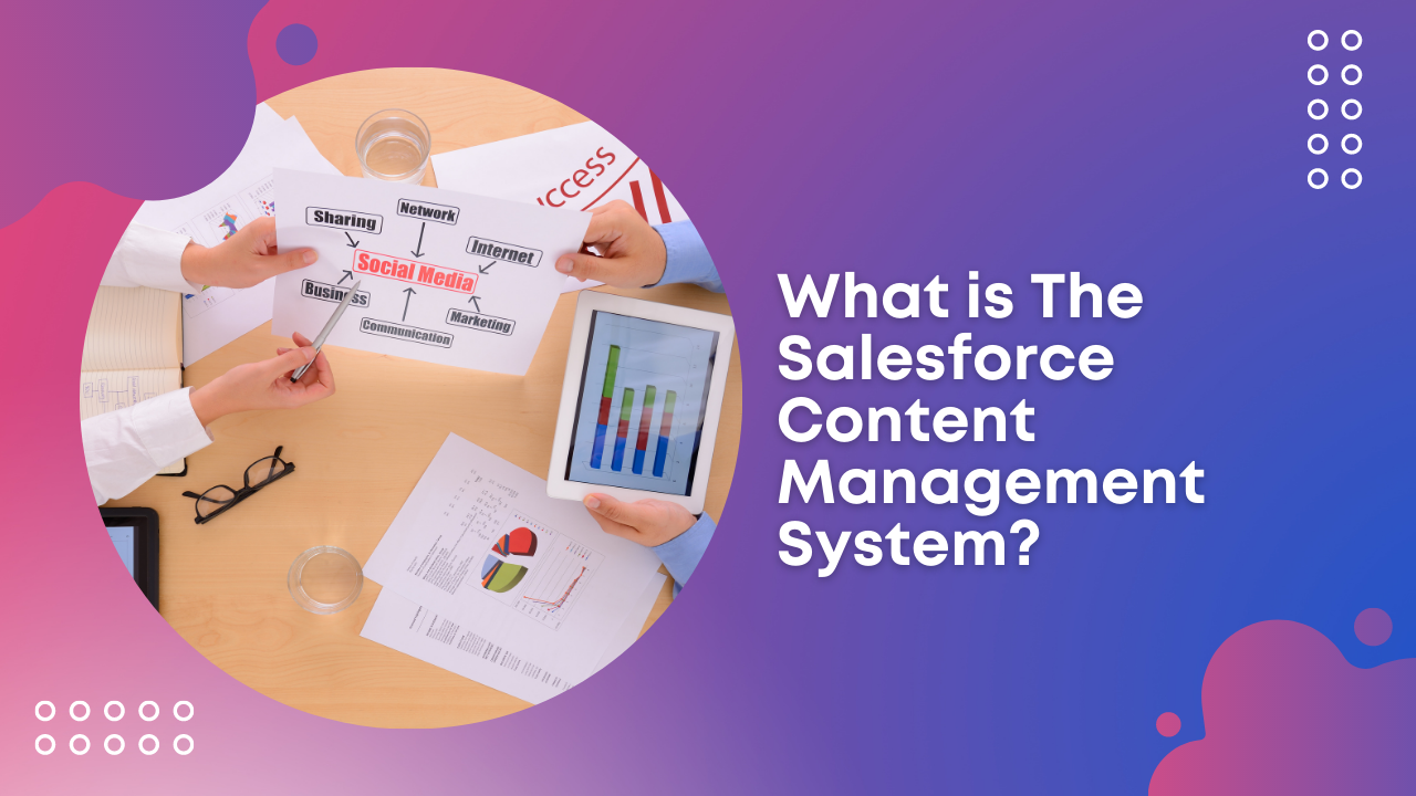 What is The Salesforce Content Management System