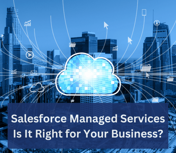 Salesforce Managed Service Provider