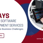 Custom Software Development