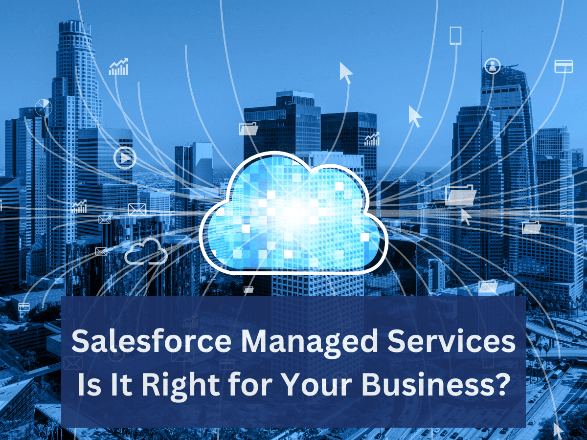 Salesforce Managed Service Provider